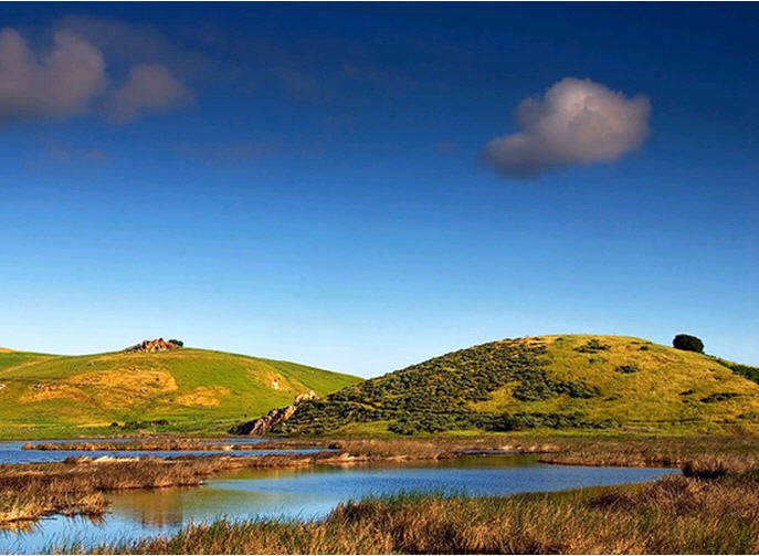 Coyote Hills