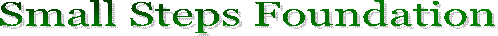 Small Steps Foundation